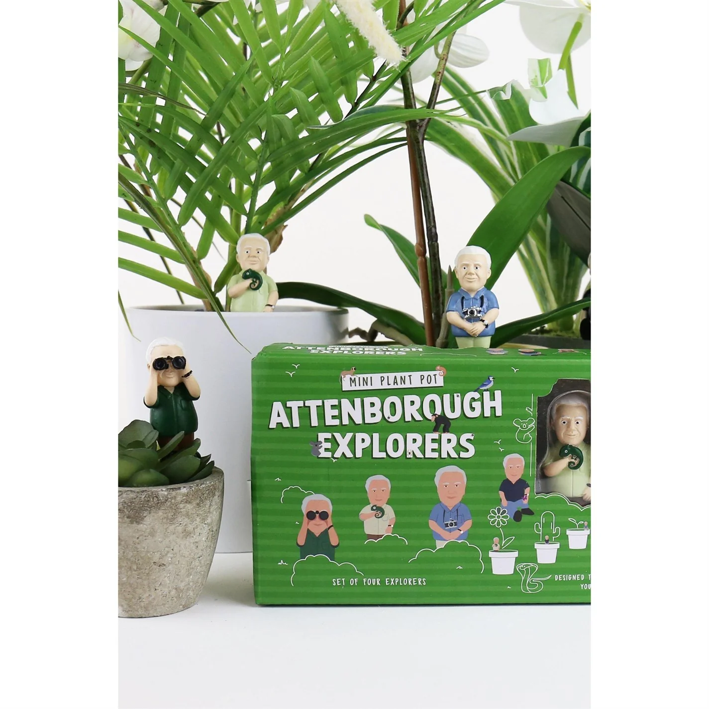 Attenborough Explorers – Mini Plant Guardians - Image 3