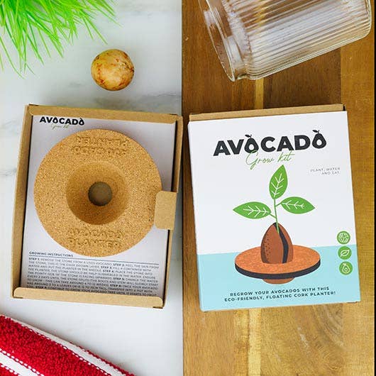 Avocado Grow Kit : Grow Your Own Avocado Plant - Image 3