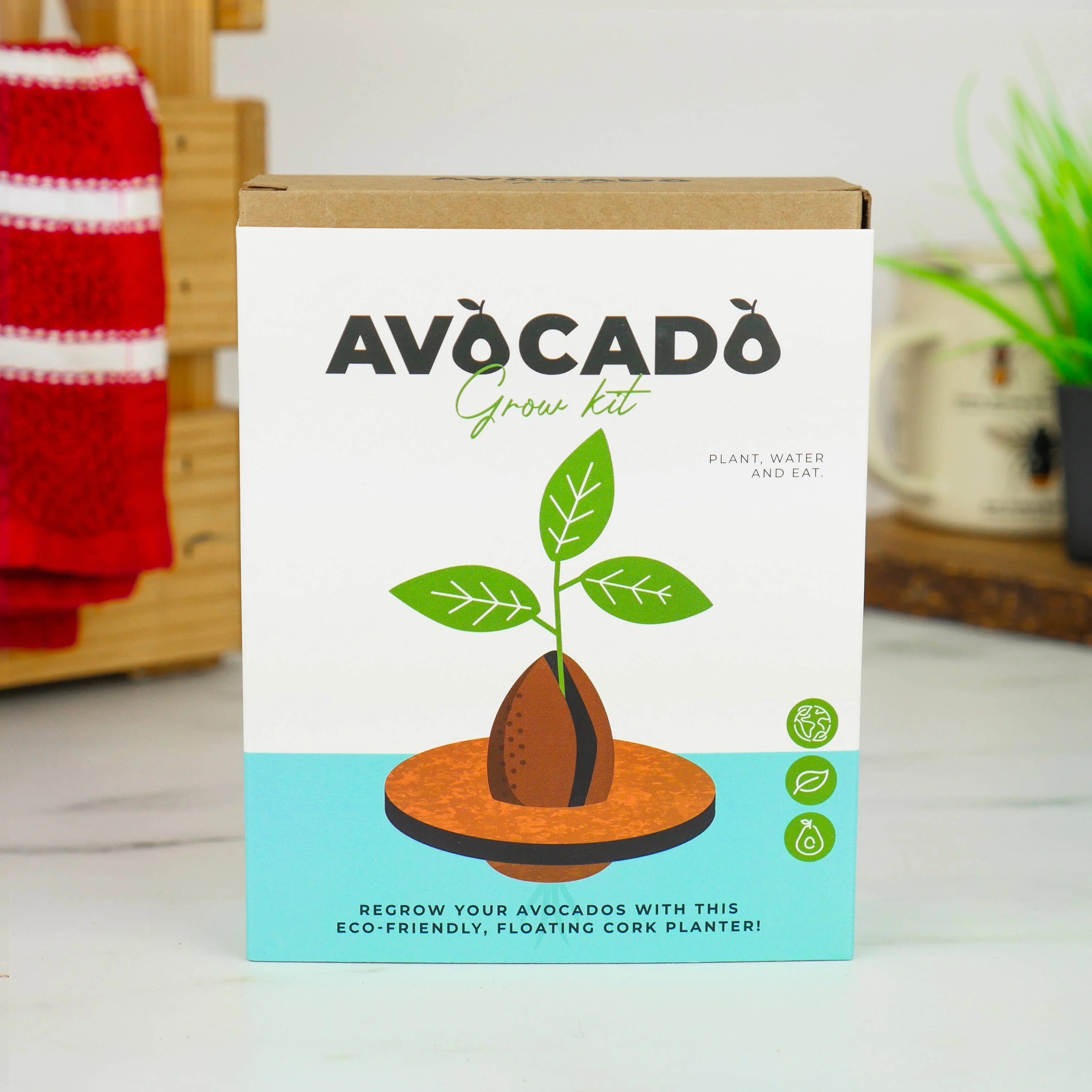Avocado Grow Kit : Grow Your Own Avocado Plant - Image 4