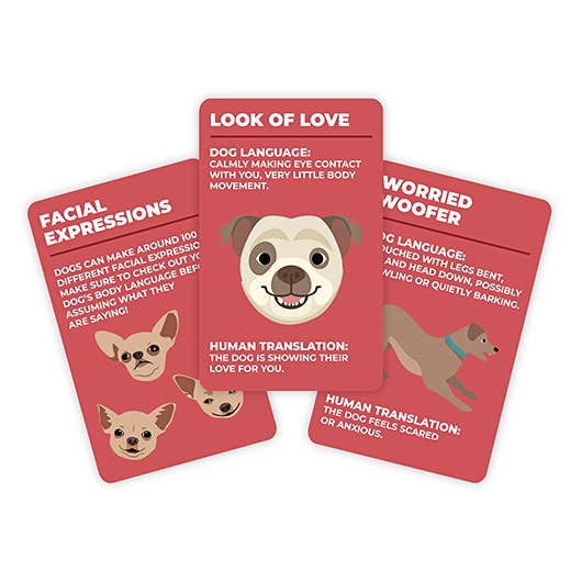 How To Speak Dog – Fun Dog Behaviour & Communication Cards - Image 2