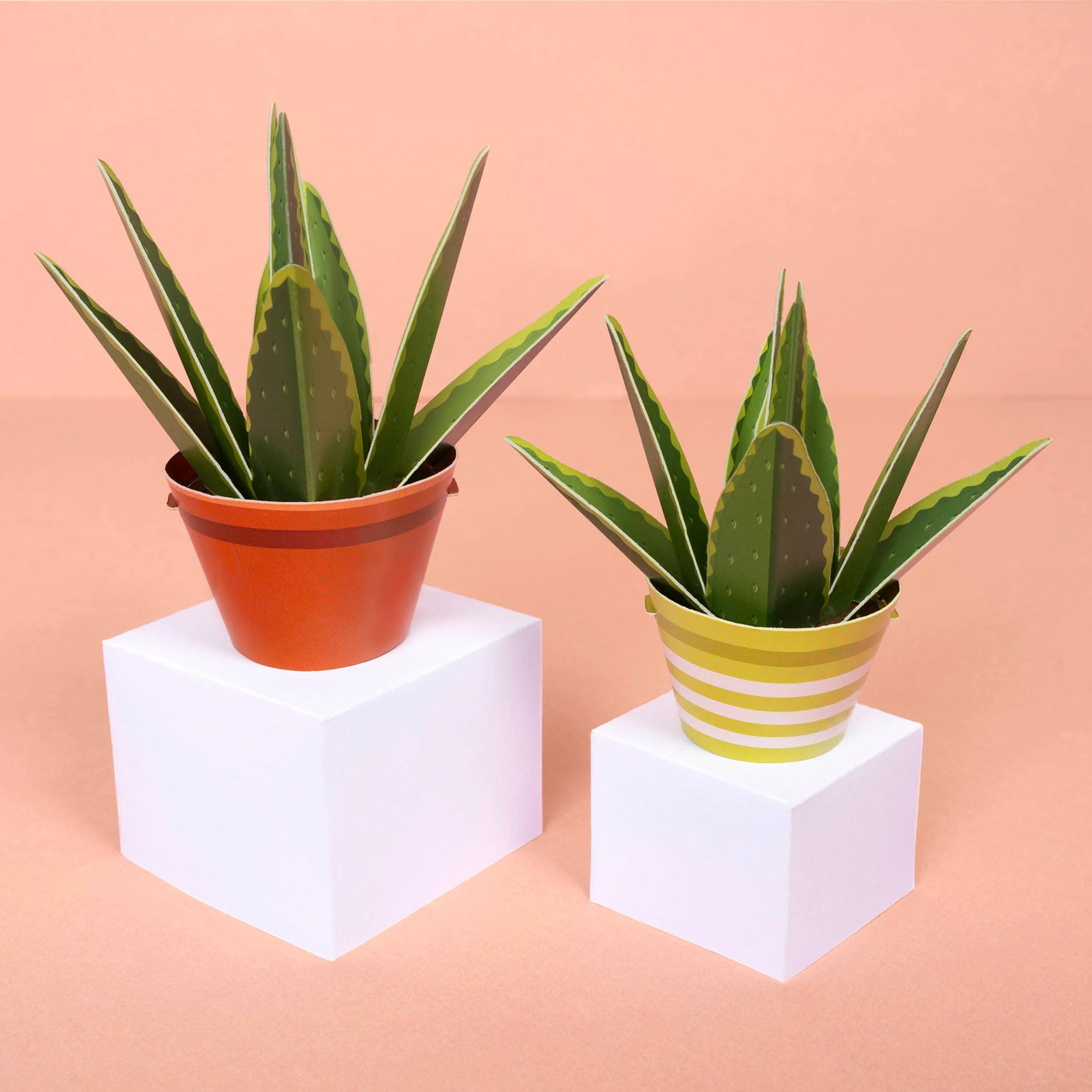 Make Your Own Healing Aloe Vera Paper Plant Craft Kit