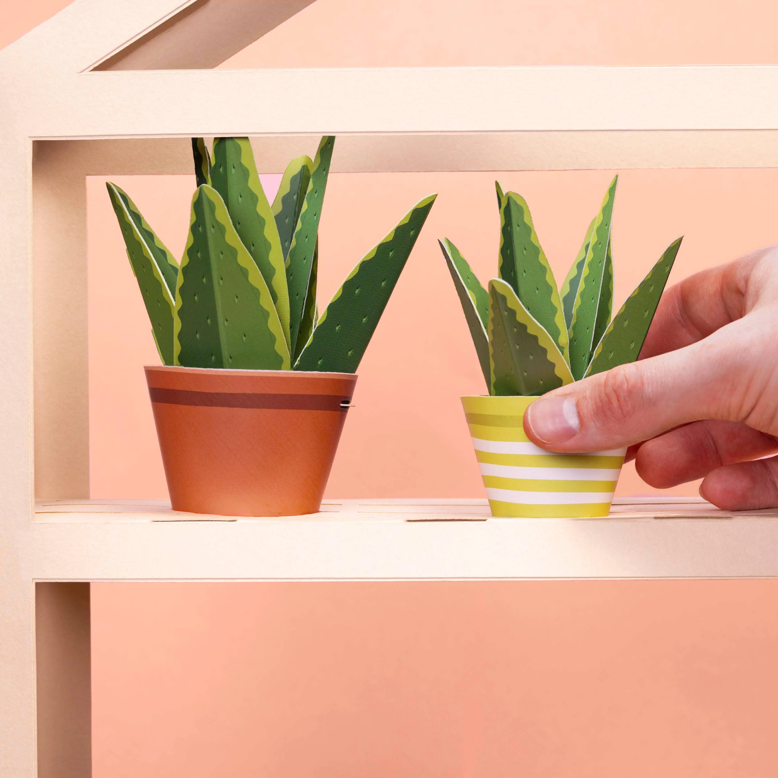 Make Your Own Healing Aloe Vera Paper Plant Craft Kit - Image 3