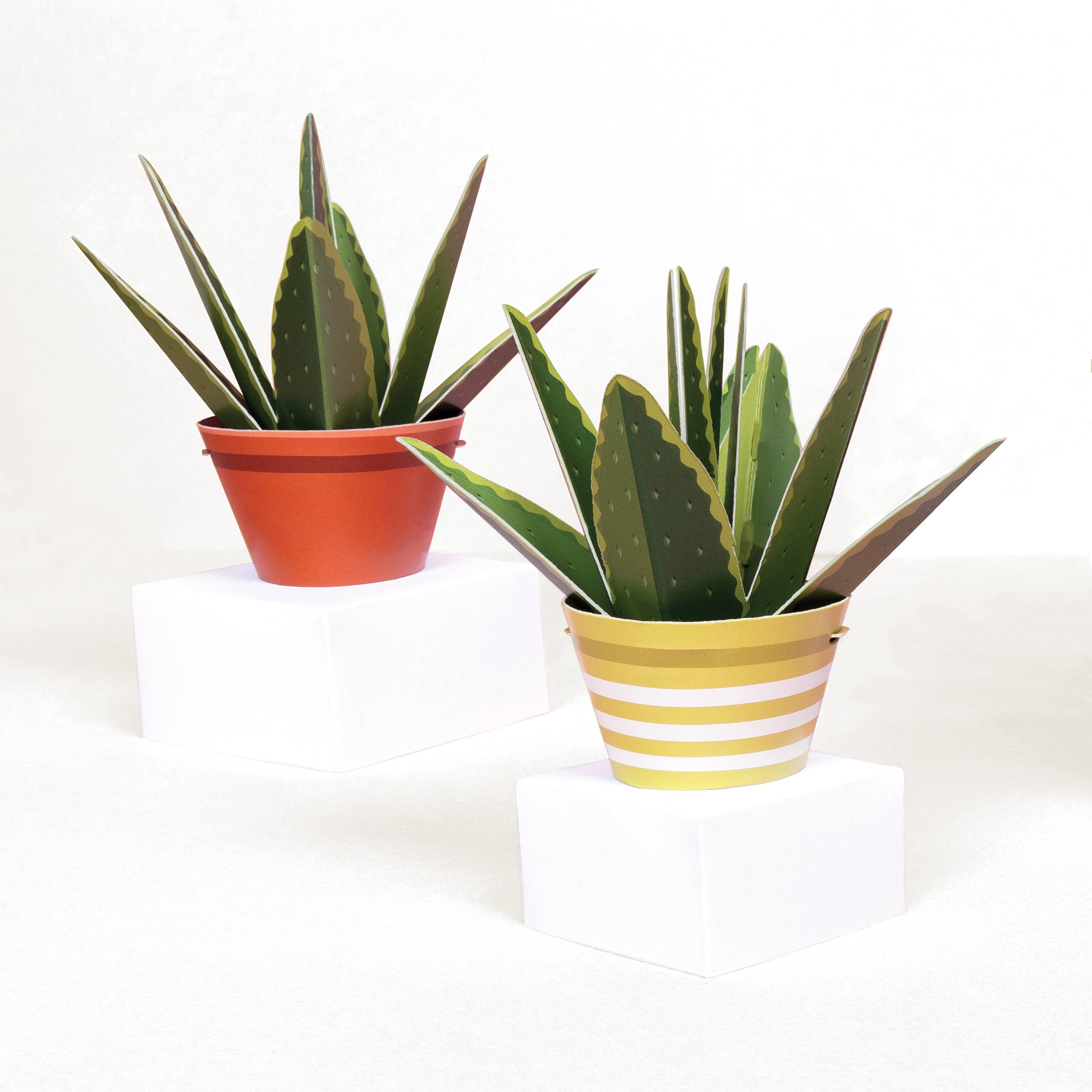 Make Your Own Healing Aloe Vera Paper Plant Craft Kit - Image 4