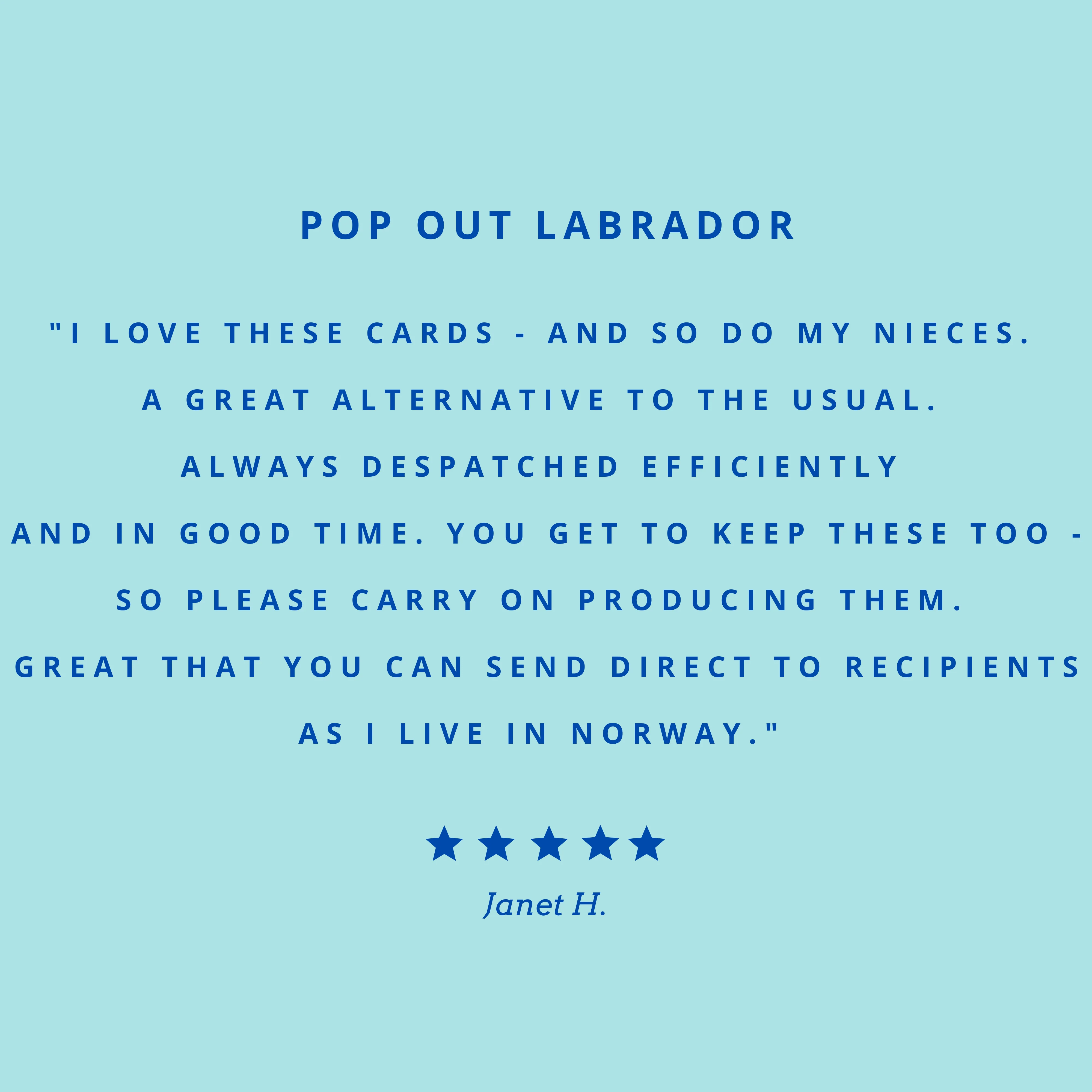 Pop Out Labrador Greeting Card - Image 3