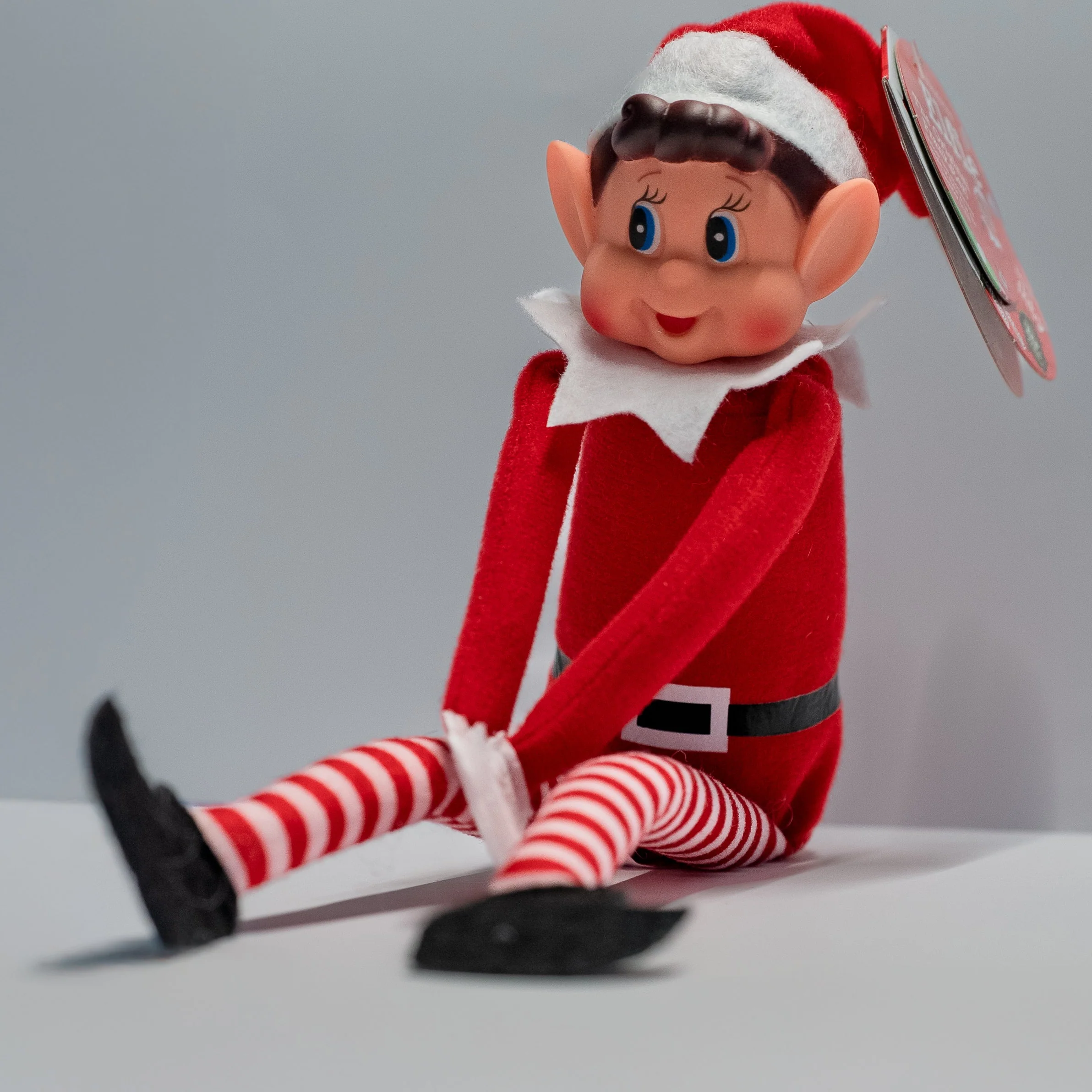 The Mind Elf
