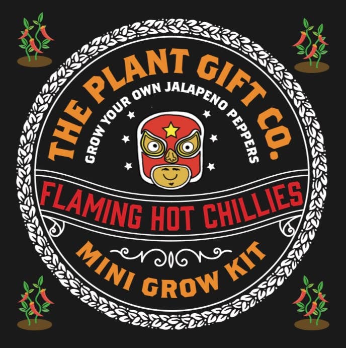 Flaming Hot Chillies – Eco Mini Jalapeño Grow Kit