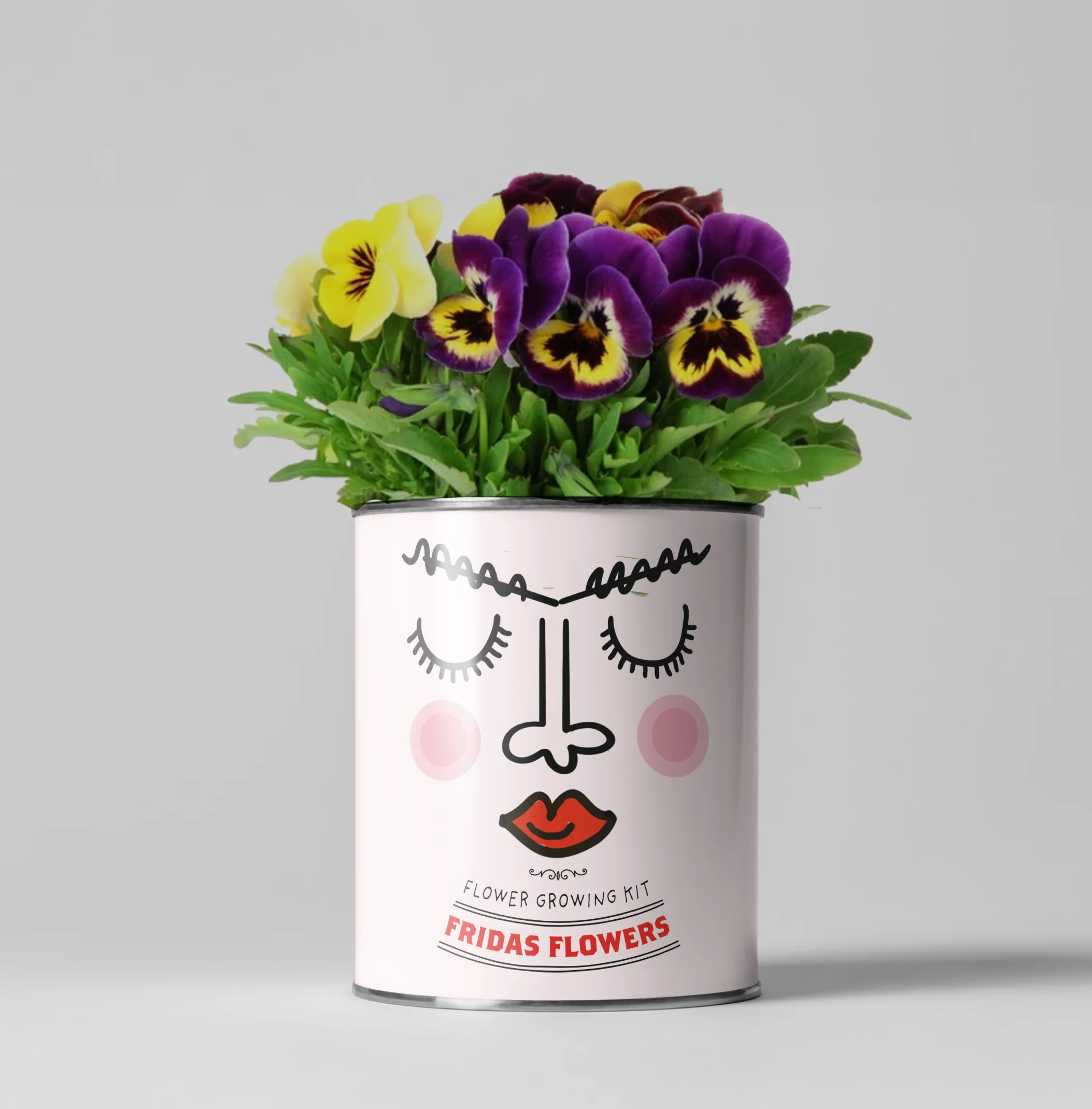 The Plant Gift Co. - Frida's Flowers. Eco Grow Your Own Plant, Gardening Kit