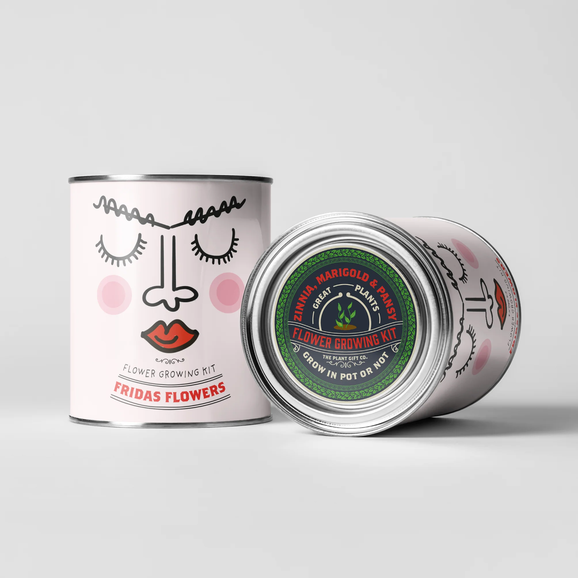 The Plant Gift Co. - Frida's Flowers. Eco Grow Your Own Plant, Gardening Kit - Image 2