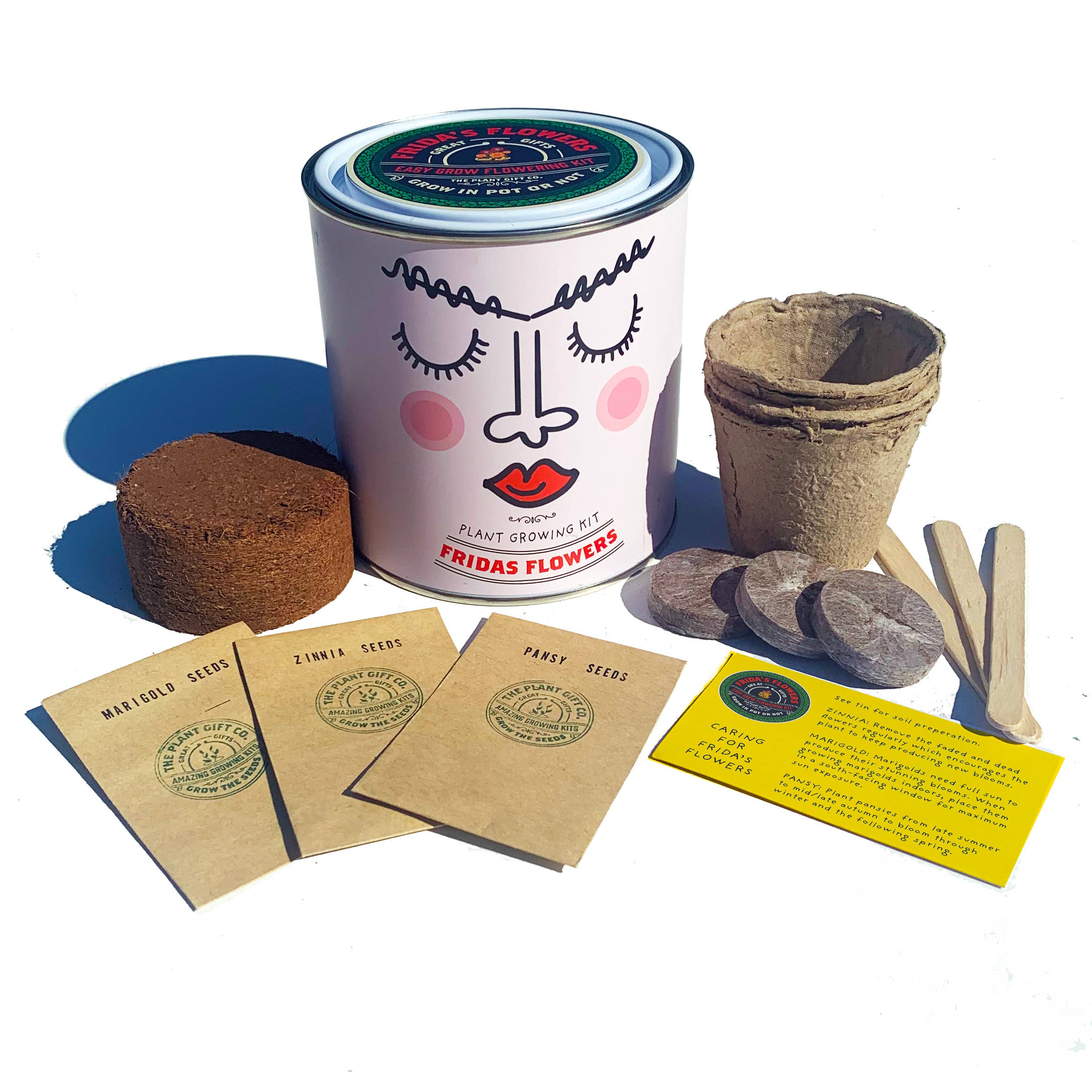 The Plant Gift Co. - Frida's Flowers. Eco Grow Your Own Plant, Gardening Kit - Image 3