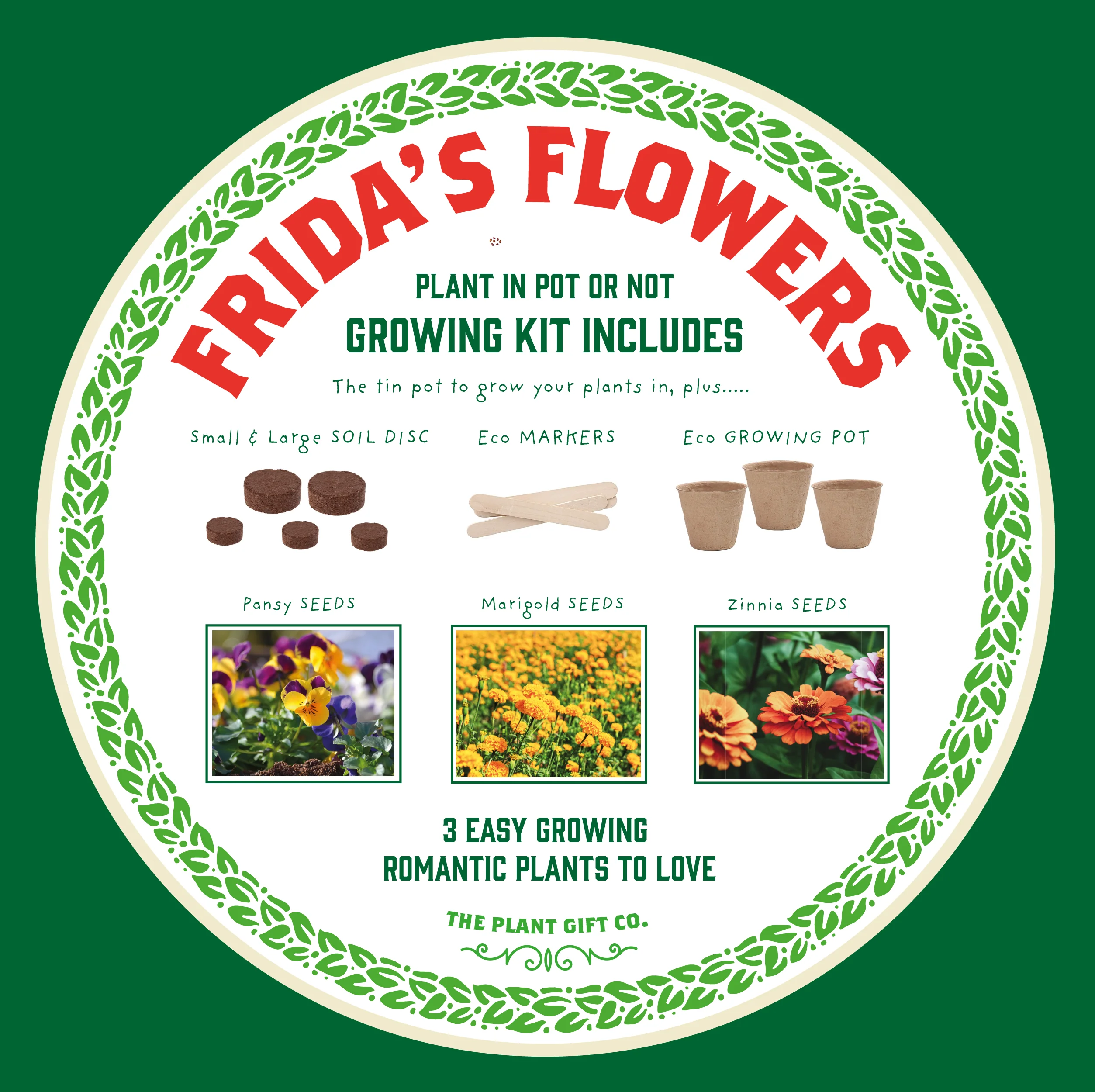 The Plant Gift Co. - Frida's Flowers. Eco Grow Your Own Plant, Gardening Kit - Image 6