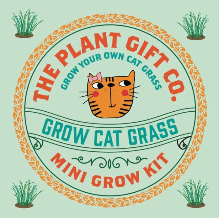The Plant Gift Co. - Grow Cat Grass. Eco Mini Cat Friendly Grow Kit