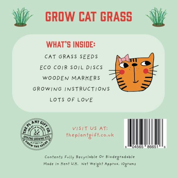 The Plant Gift Co. - Grow Cat Grass. Eco Mini Cat Friendly Grow Kit - Image 2