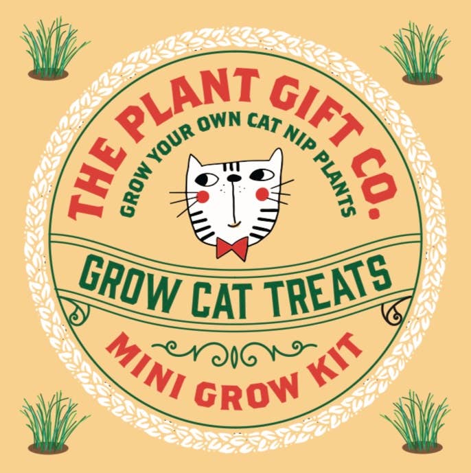 Grow Cat Treats – Eco Mini Catnip Grow Kit