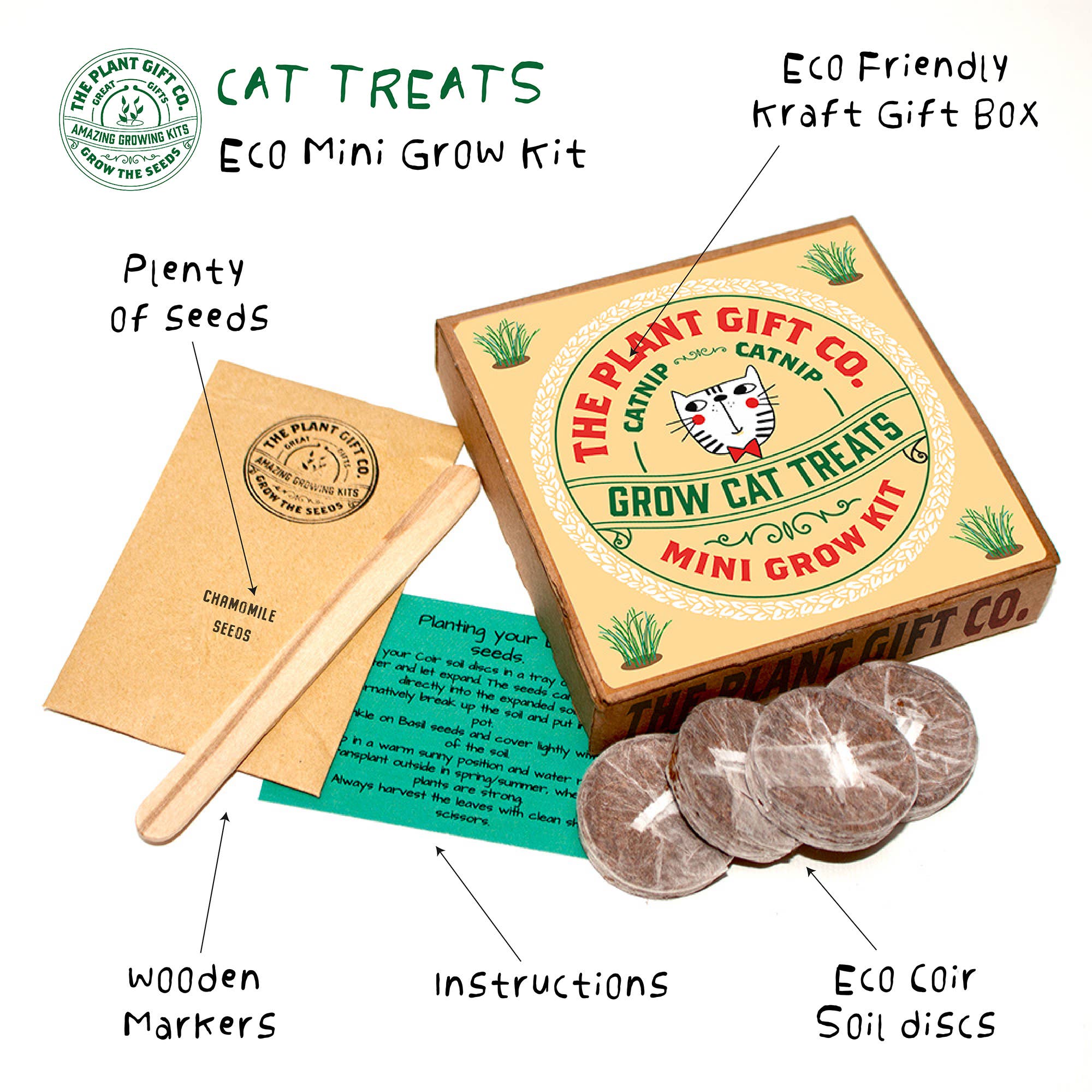 Grow Cat Treats – Eco Mini Catnip Grow Kit - Image 2