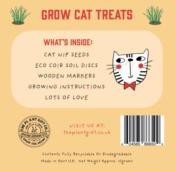 Grow Cat Treats – Eco Mini Catnip Grow Kit - Image 3