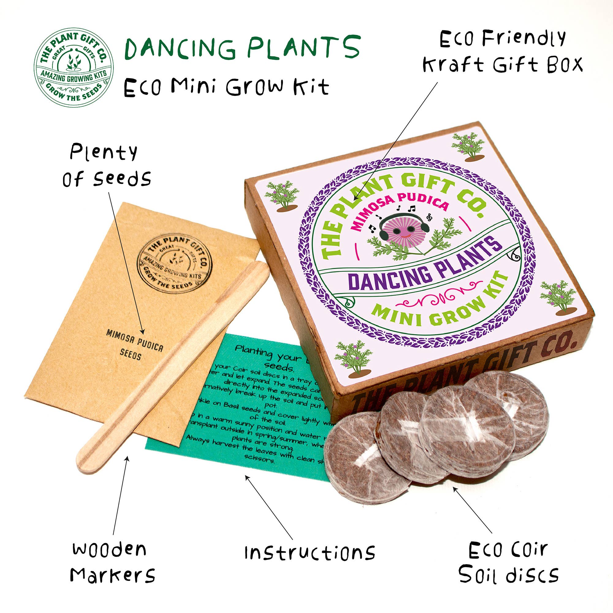 Grow Your Own Dancing Plant Kit – Mimosa Pudica Eco Gardening Gift - Image 2