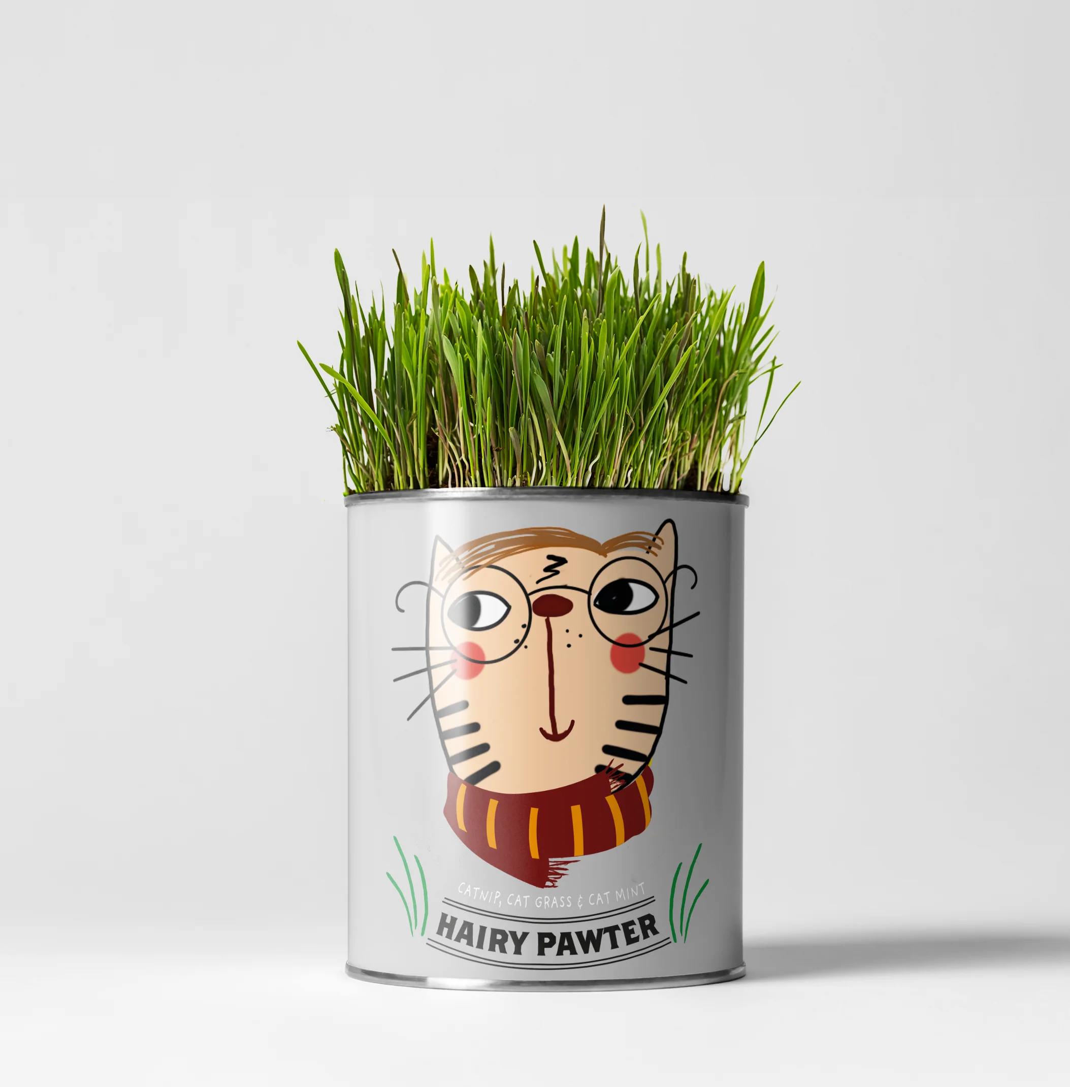 Hairy Pawter – Eco Grow Your Own Cat-Friendly Plant Kit