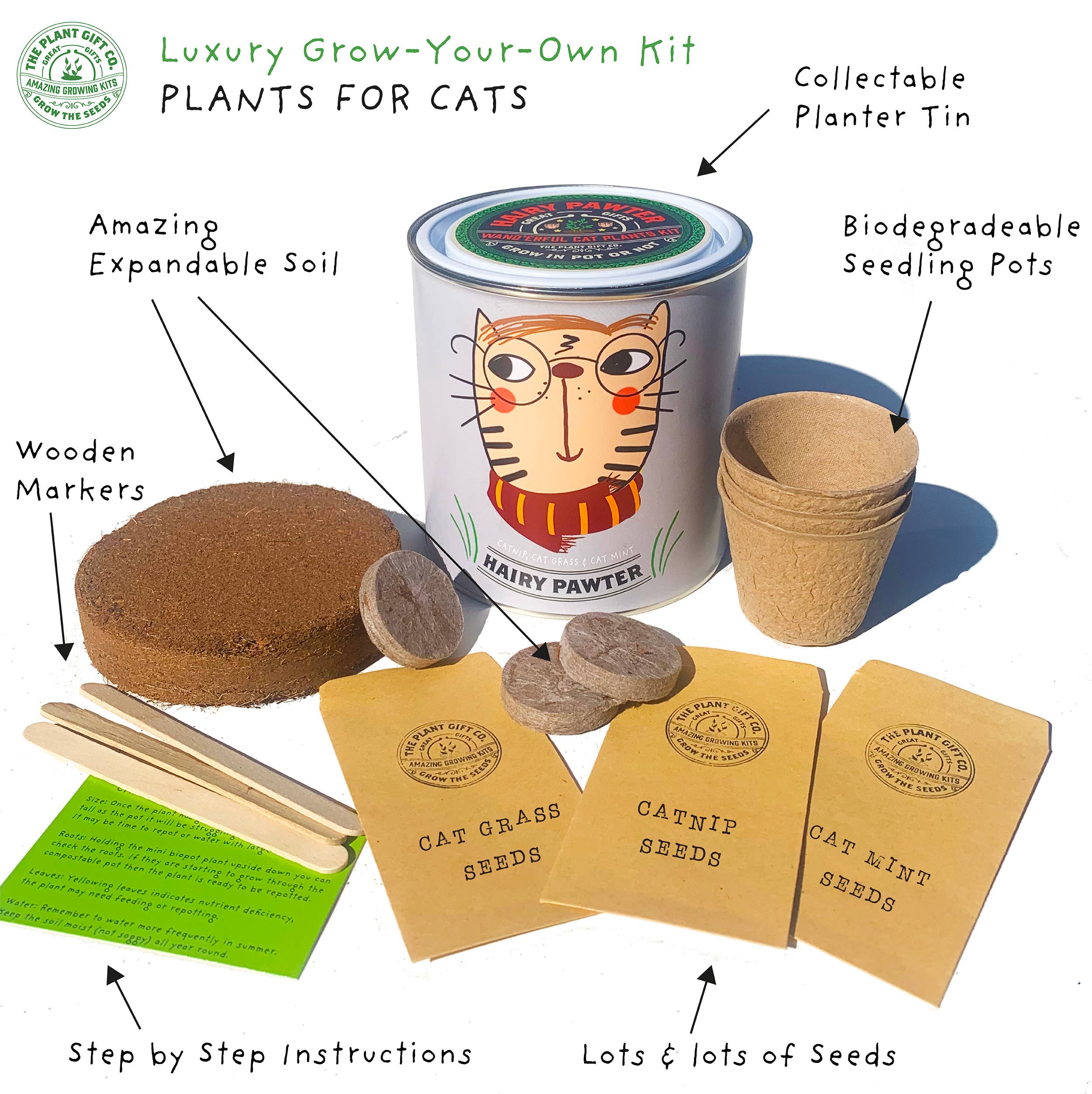 Hairy Pawter – Eco Grow Your Own Cat-Friendly Plant Kit - Image 2