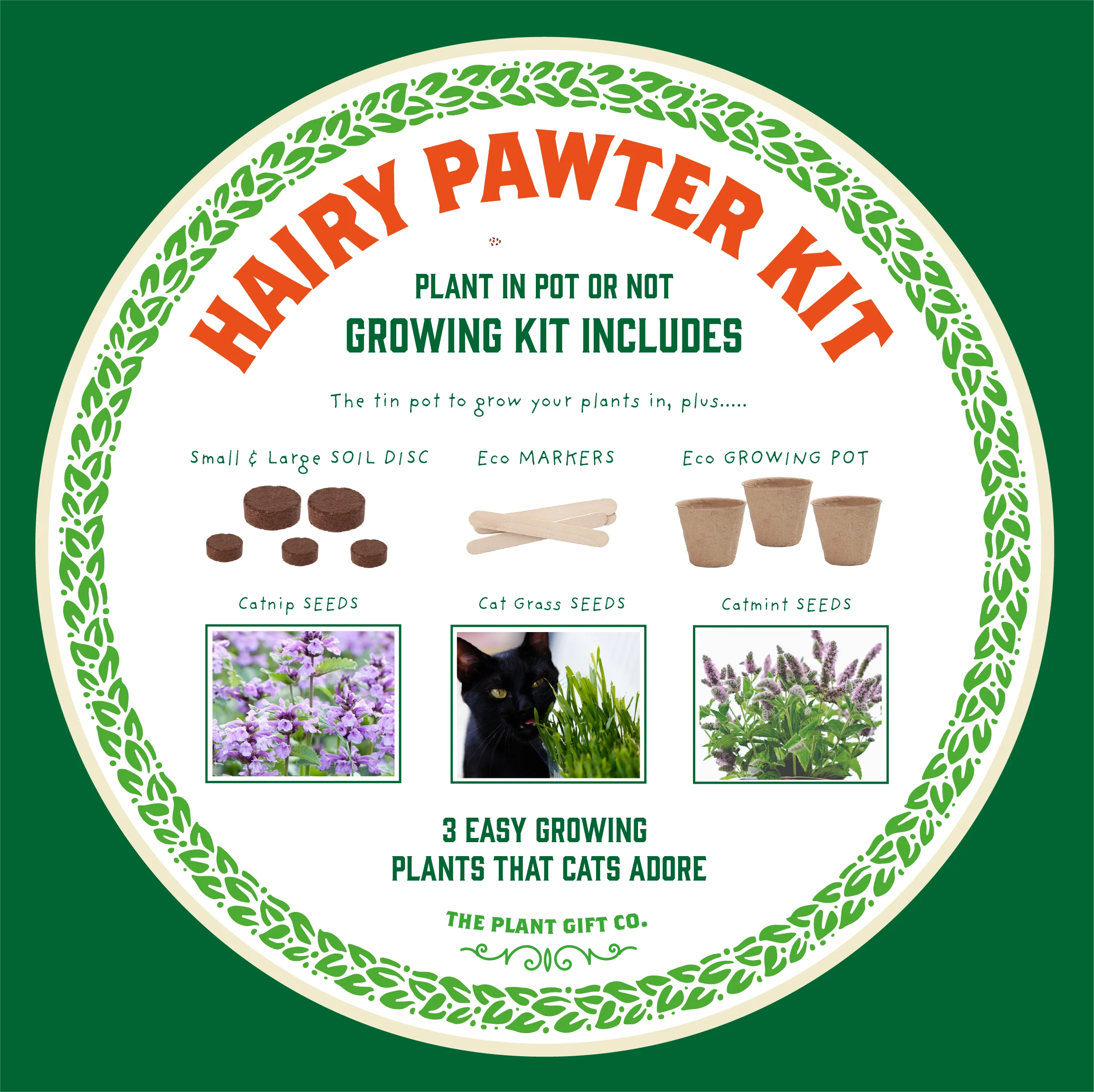 Hairy Pawter – Eco Grow Your Own Cat-Friendly Plant Kit - Image 7