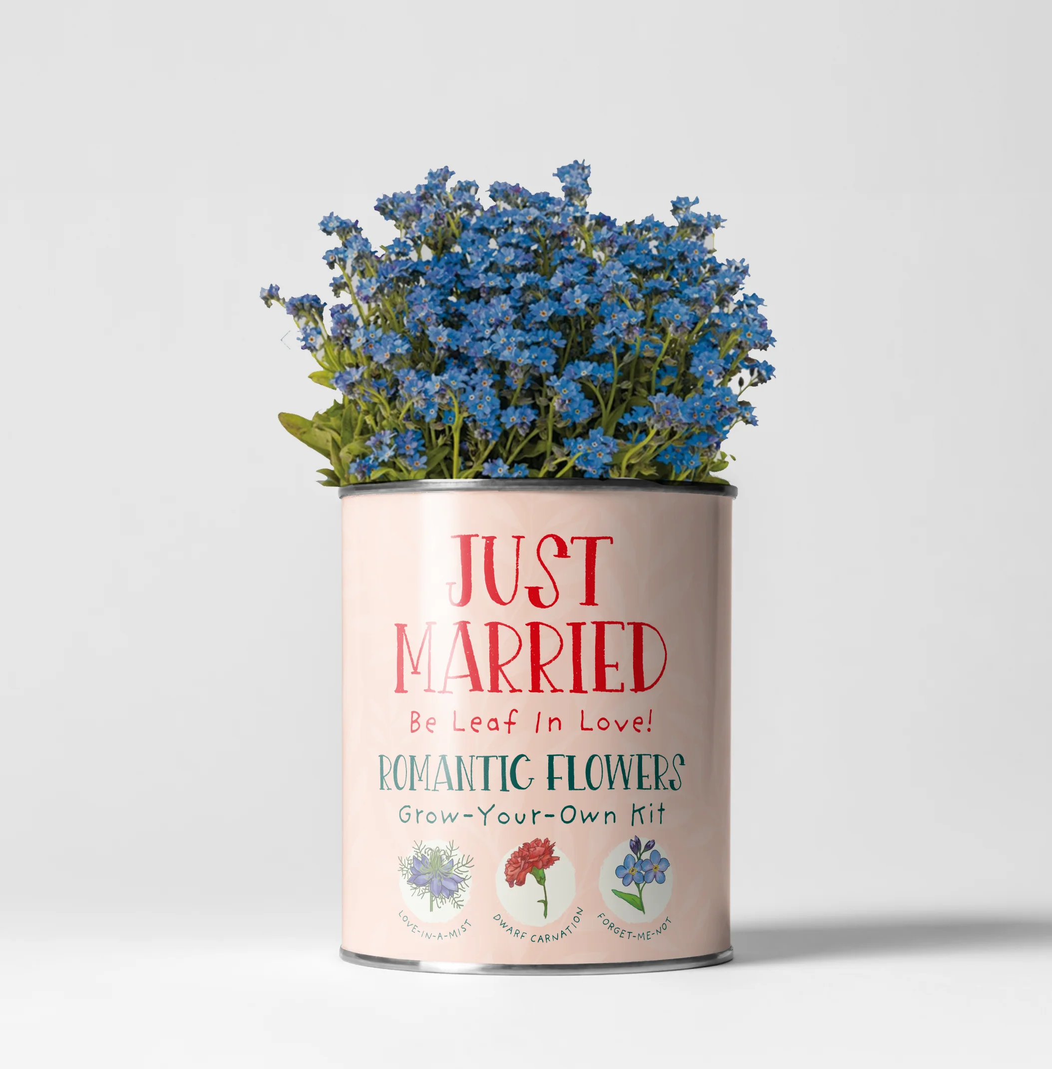 The Plant Gift Co. - Just Married. Flowers of Love Growing Kit