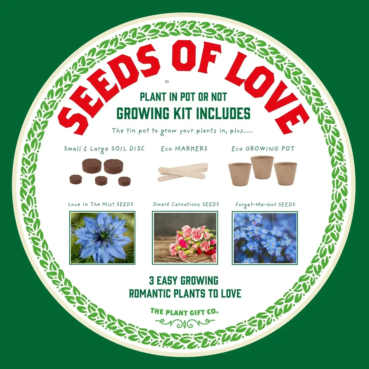 The Plant Gift Co. - Just Married. Flowers of Love Growing Kit - Image 4