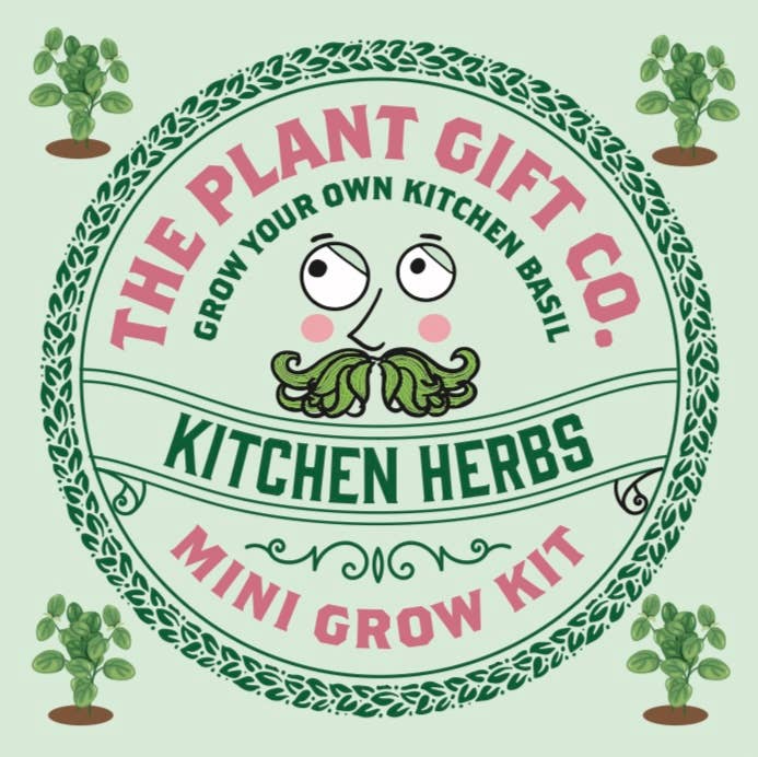 Edible Flowers Eco Grow Kit | Grow Your Own Flower Garden