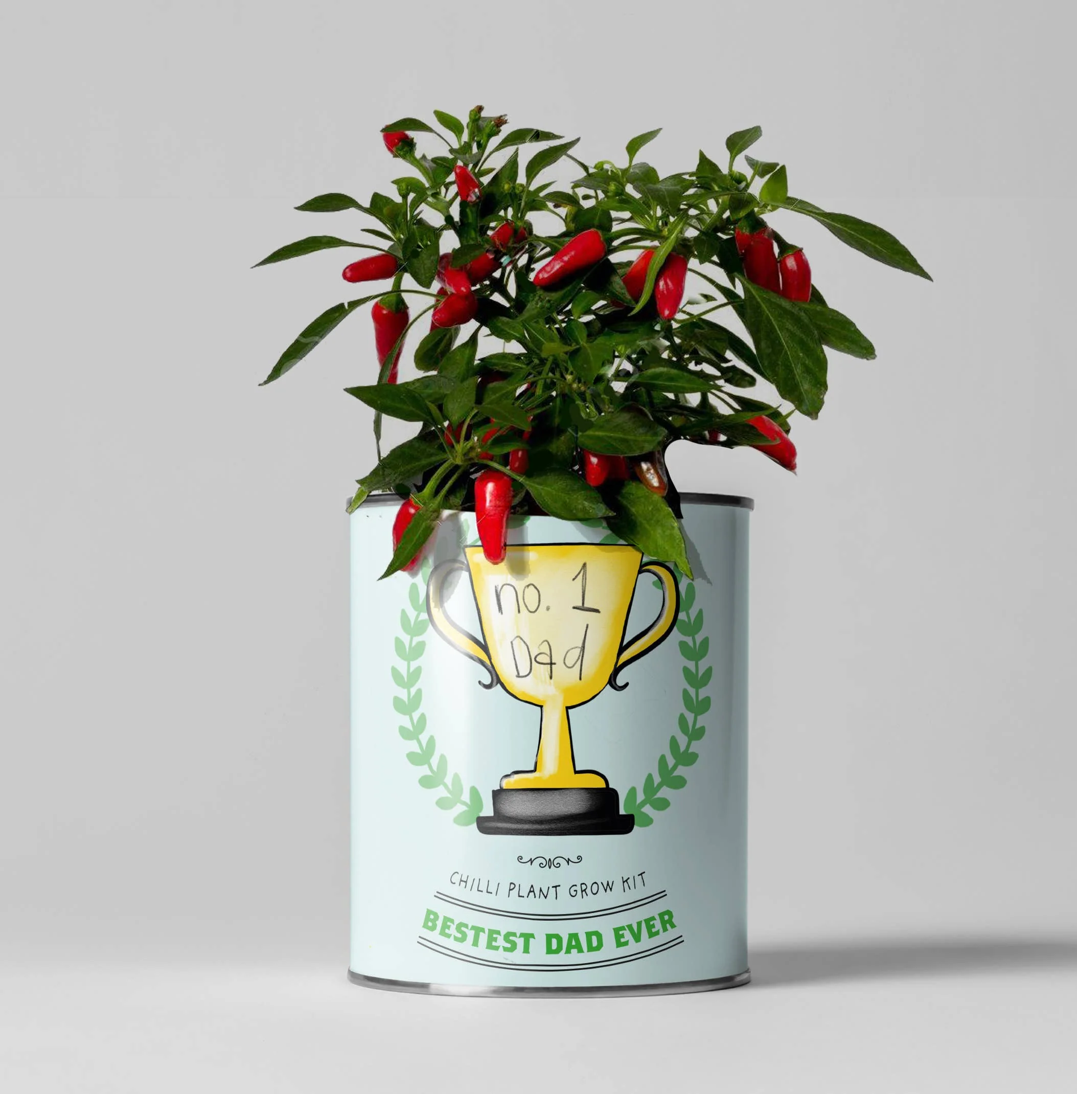 Number One Dad Grow Your Own Chilli Plant Kit – Eco-Friendly Gardening Gift