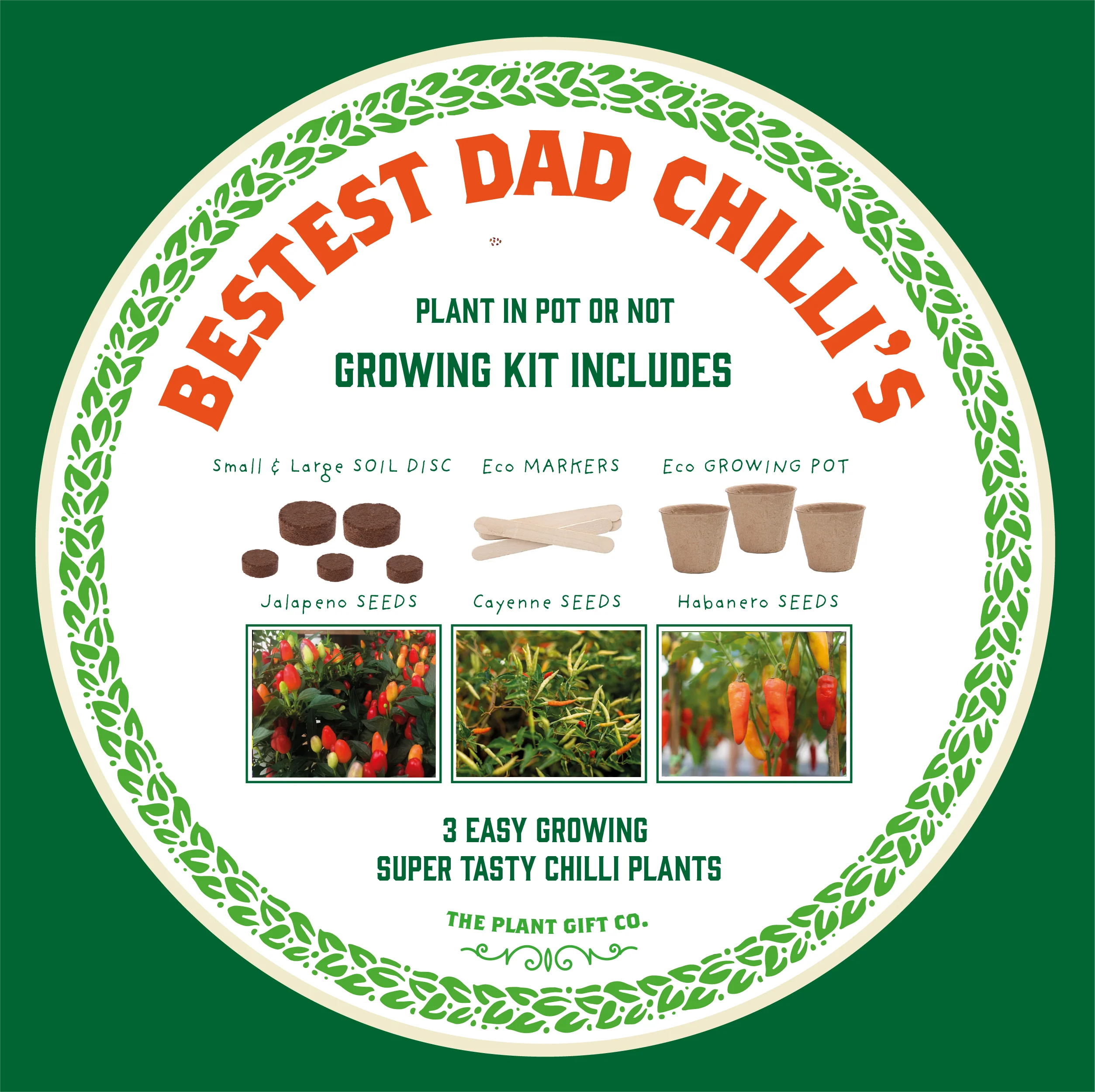 Number One Dad Grow Your Own Chilli Plant Kit – Eco-Friendly Gardening Gift - Image 6