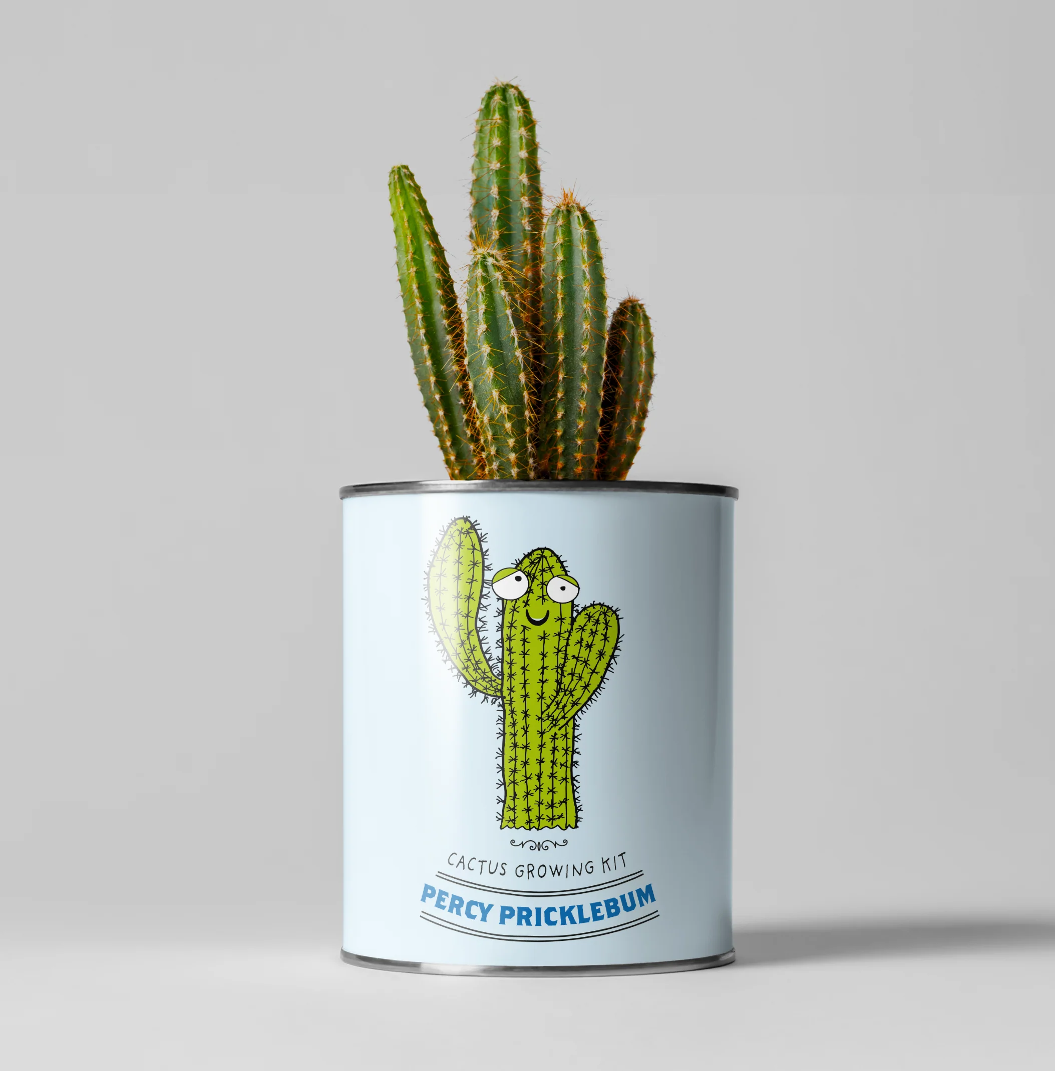 Percy Pricklebum – Grow Your Own Cactus Kit
