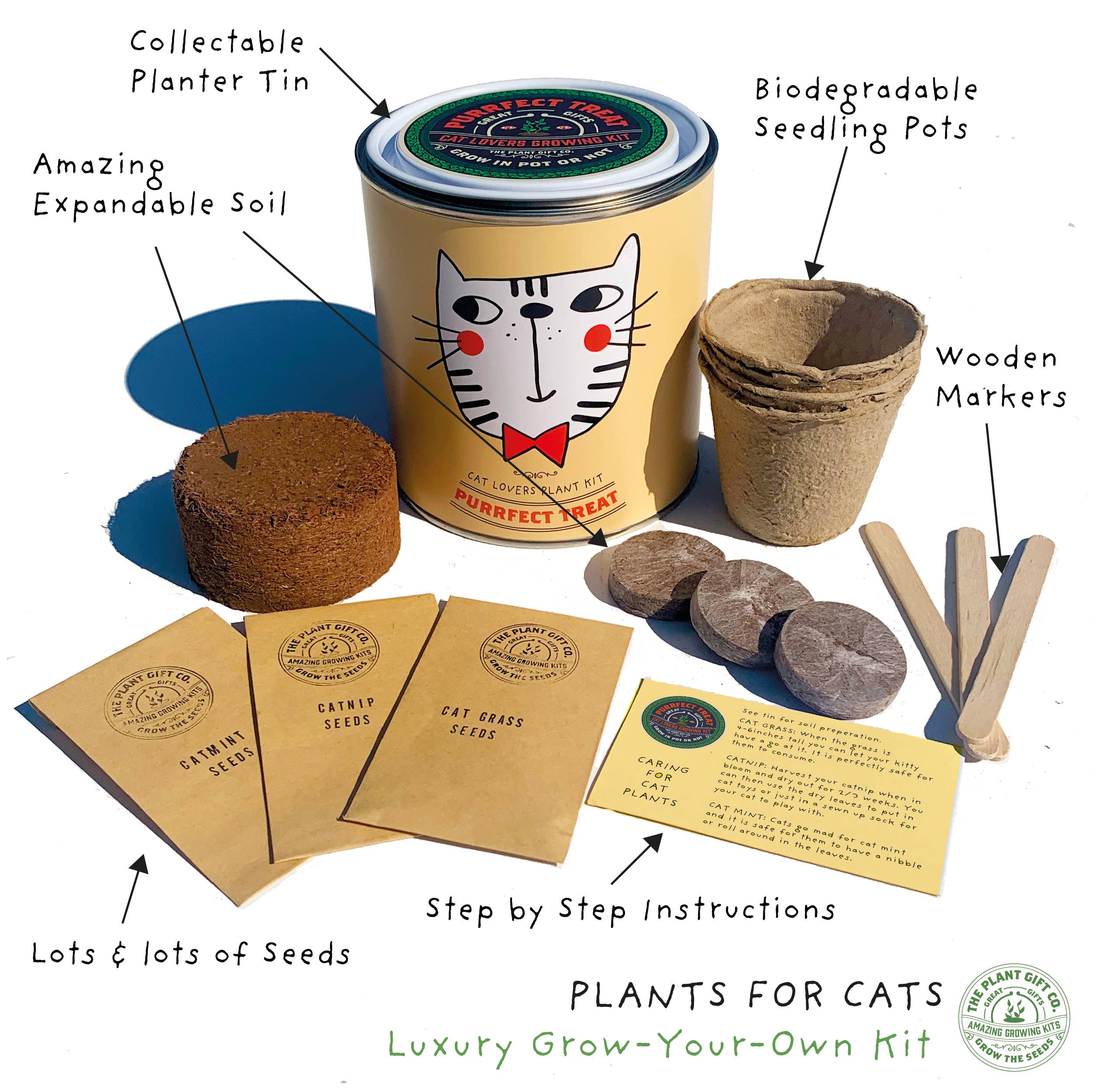 Purrfect Treat Cat Plant Grow Kit | Eco-Friendly Gardening Gift - Image 3