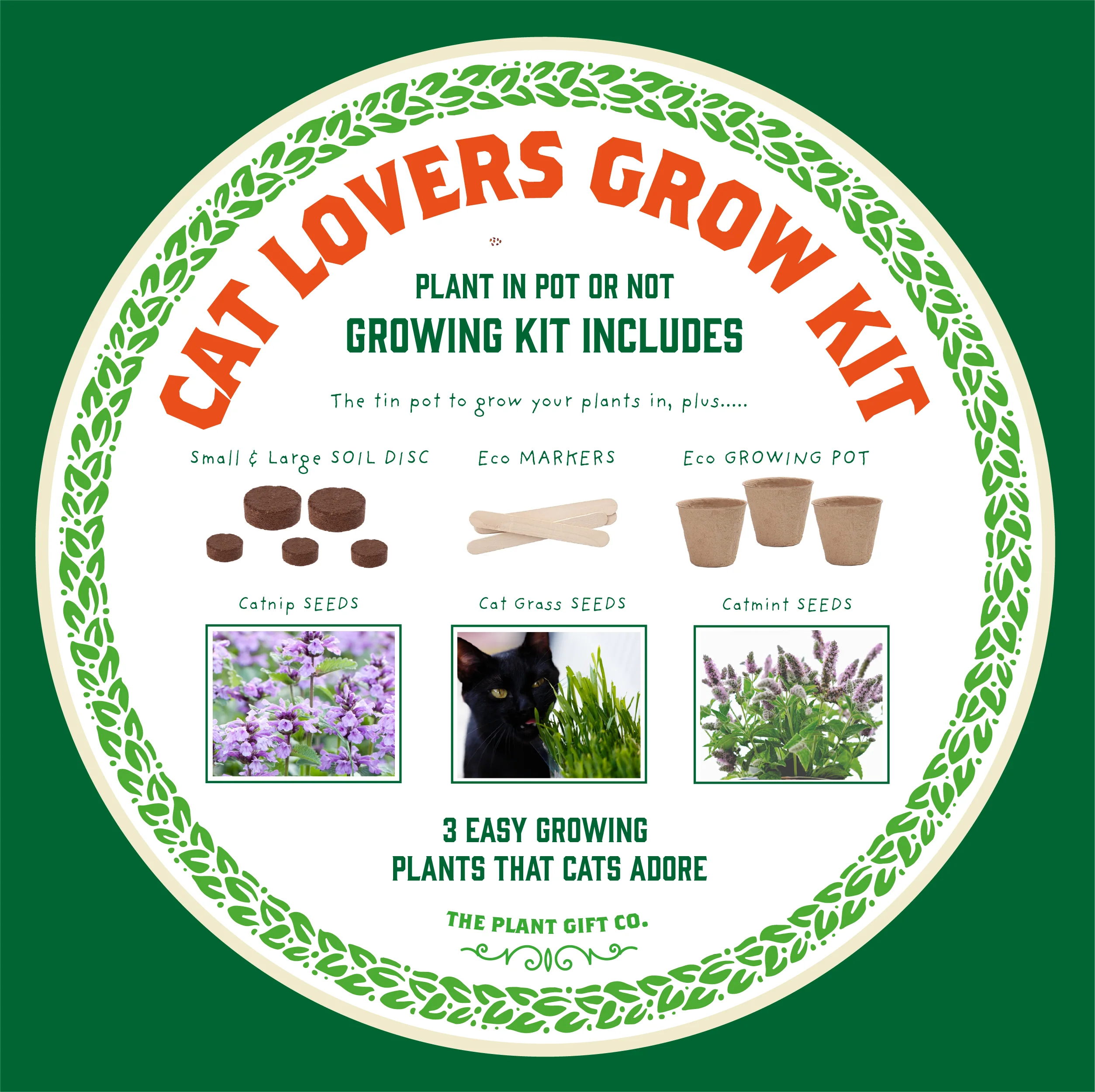 Purrfect Treat Cat Plant Grow Kit | Eco-Friendly Gardening Gift - Image 8