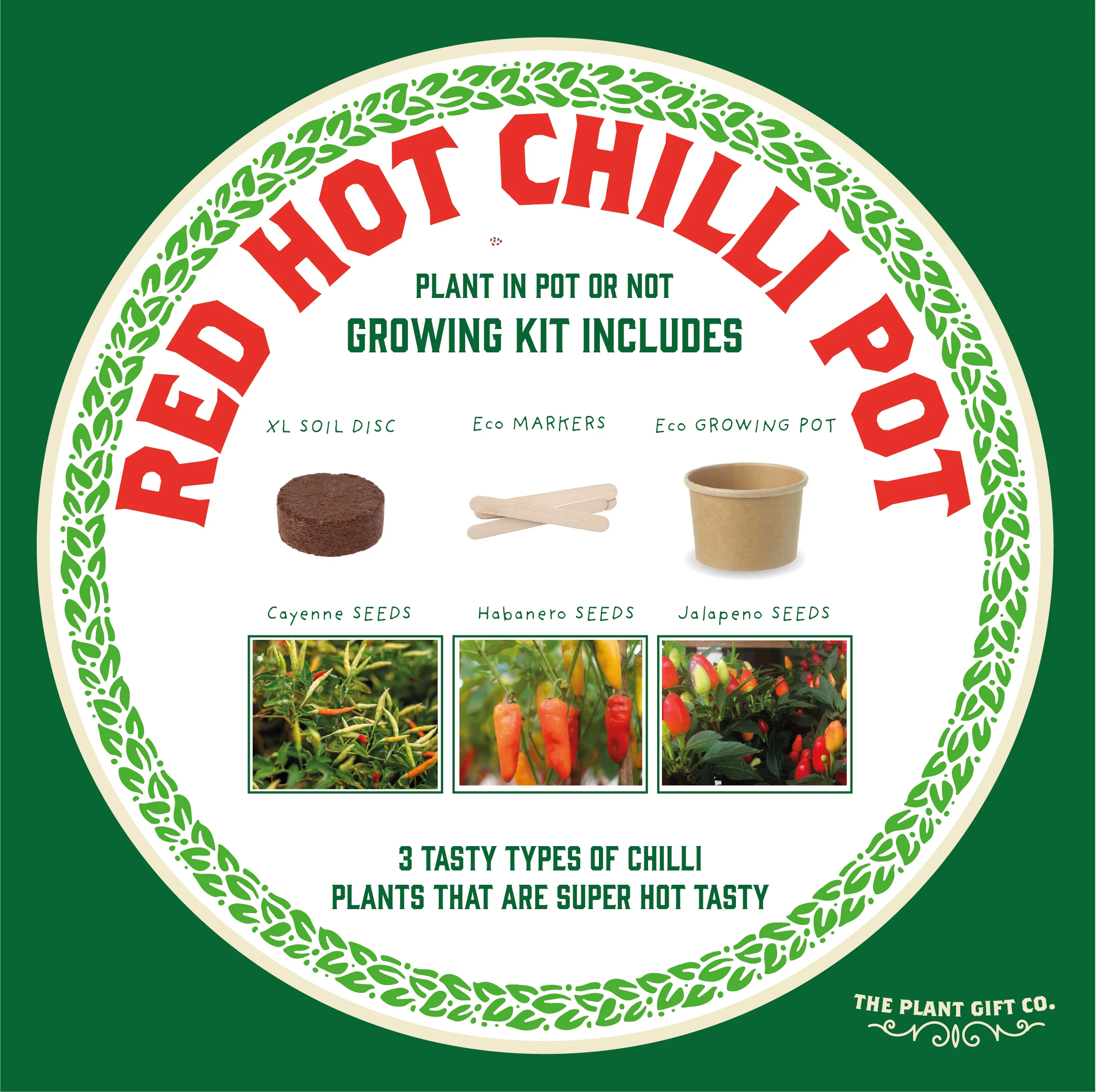 The Plant Gift Co. - Red Hot Chilli Pot. Grow Your Own Plant Kit, Gardening Gift - Image 6