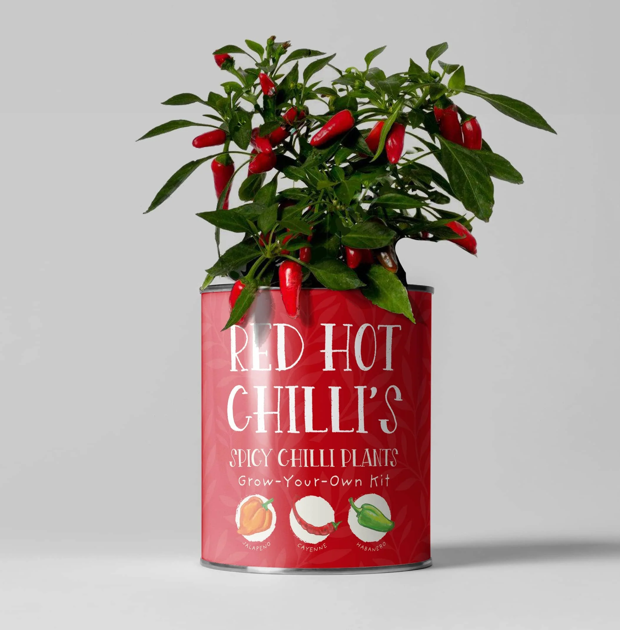 Red Hot Chilli’s – Eco Grow Your Own Chilli Plant Kit