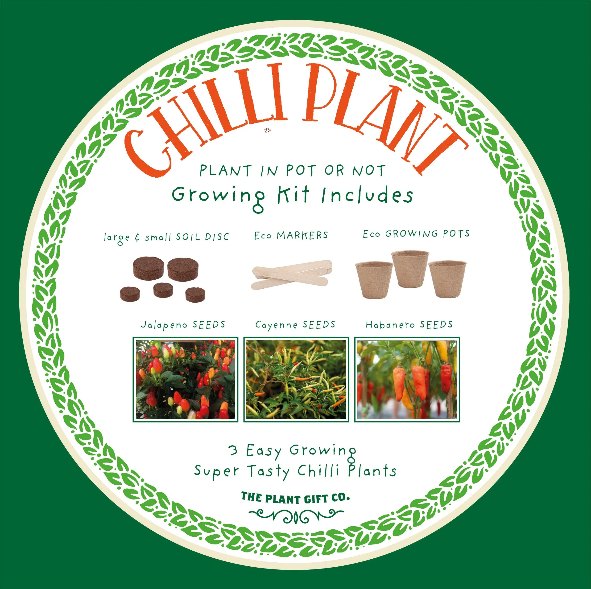 Red Hot Chilli’s – Eco Grow Your Own Chilli Plant Kit - Image 4