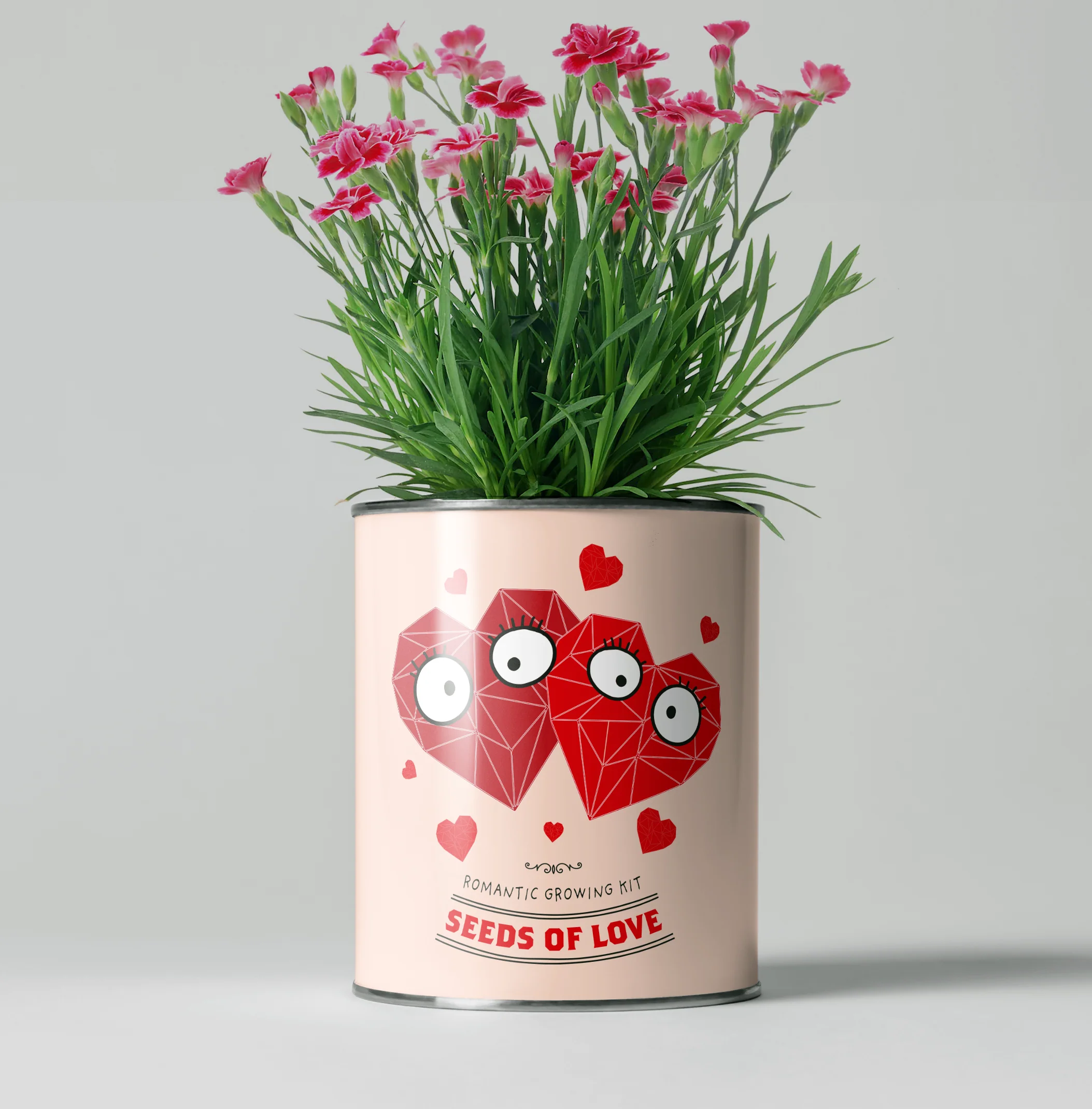 Seeds of Love – Eco Grow Your Own Flower Kit