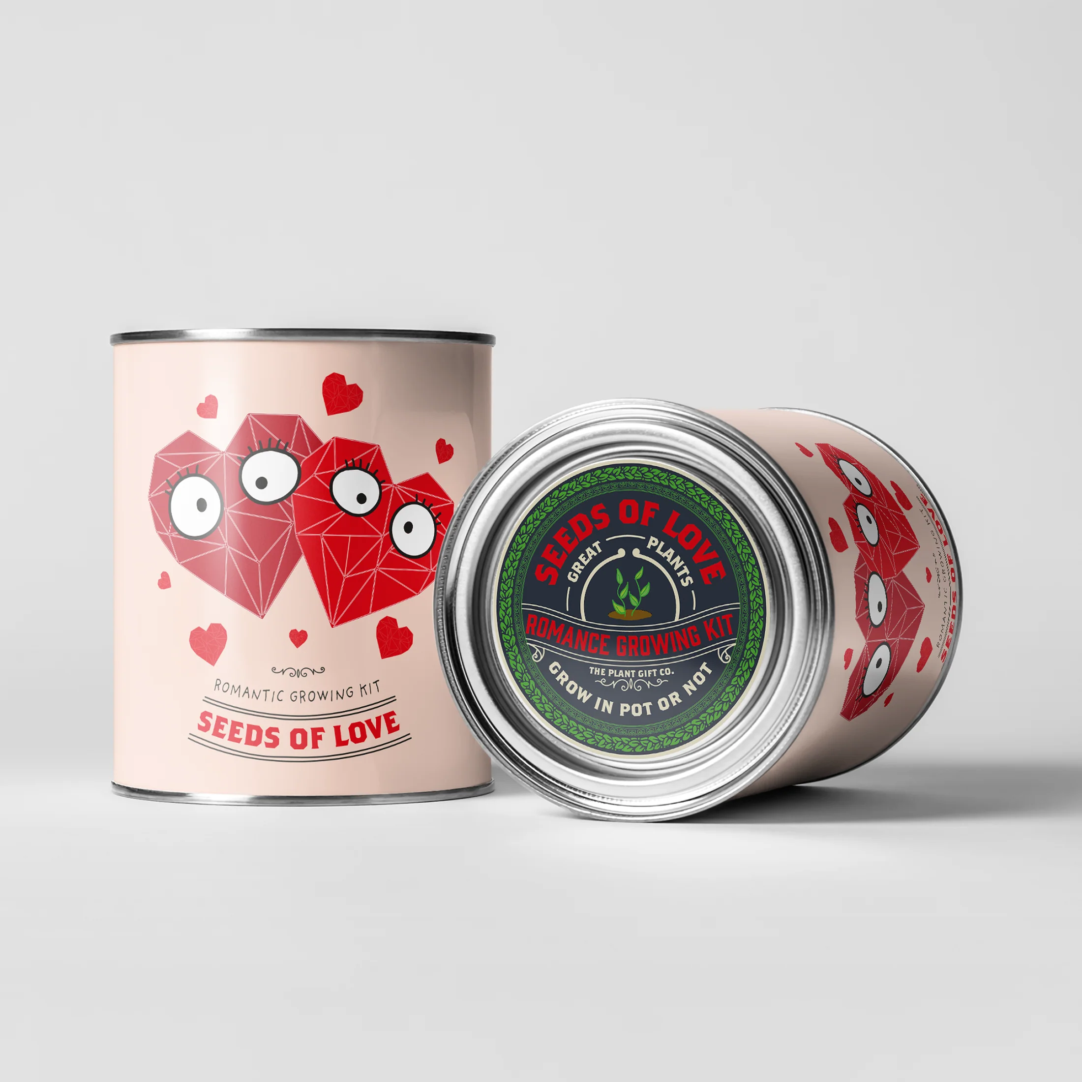 Seeds of Love – Eco Grow Your Own Flower Kit - Image 2