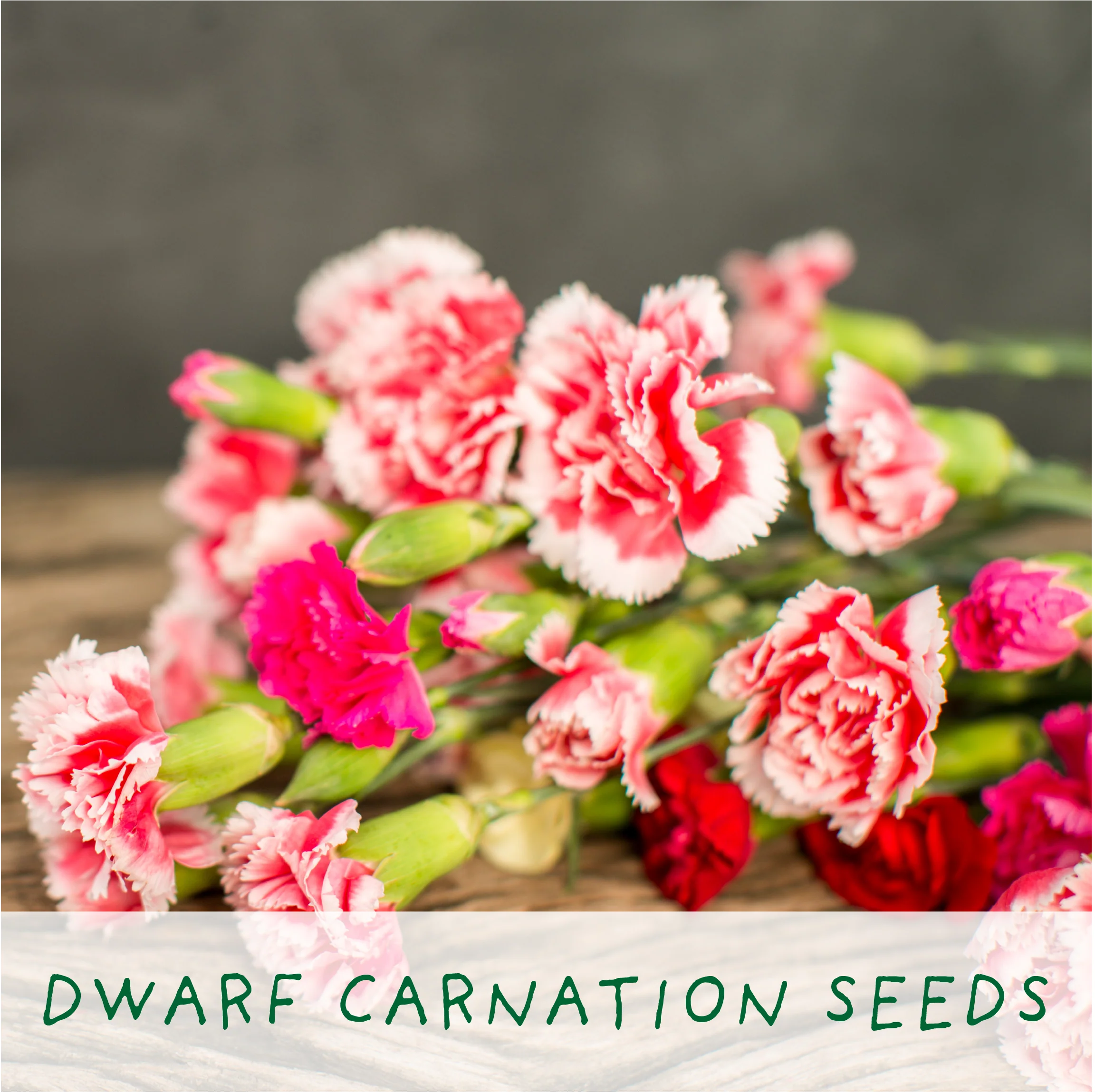 Seeds of Love – Eco Grow Your Own Flower Kit - Image 5