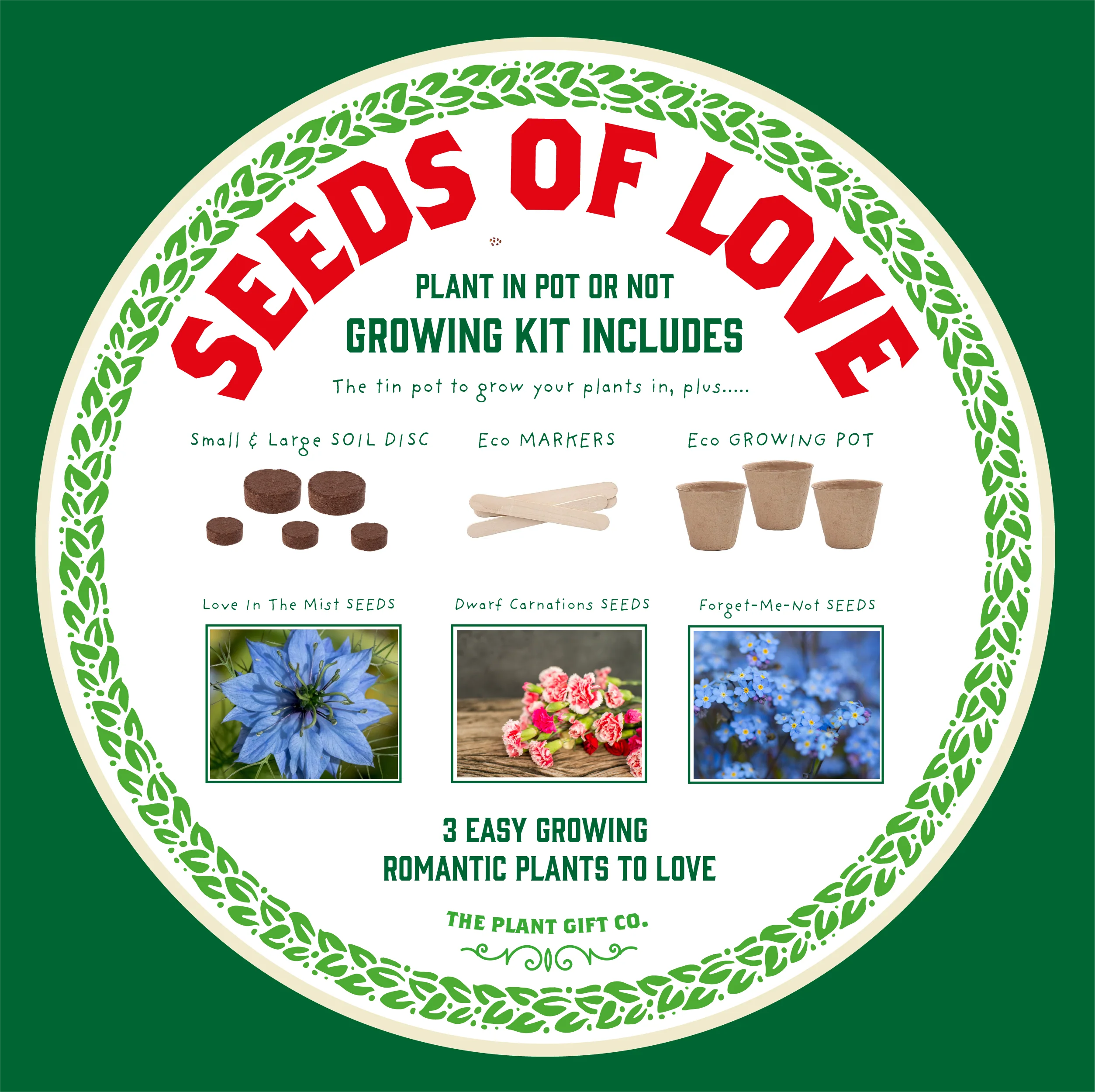 Seeds of Love – Eco Grow Your Own Flower Kit - Image 8