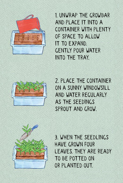 The Tiny Tomato Bar 3 different Seeds in Coir Bars - Image 3