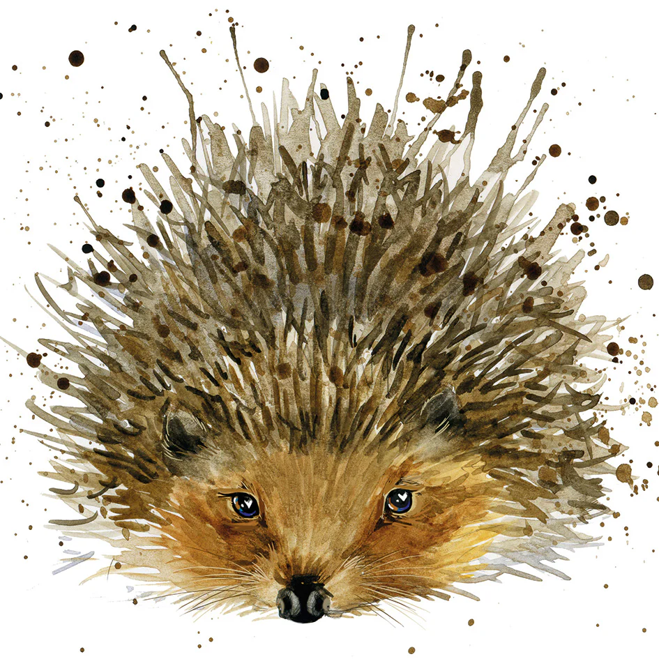 Watercolour Hedgehog Everyday Card