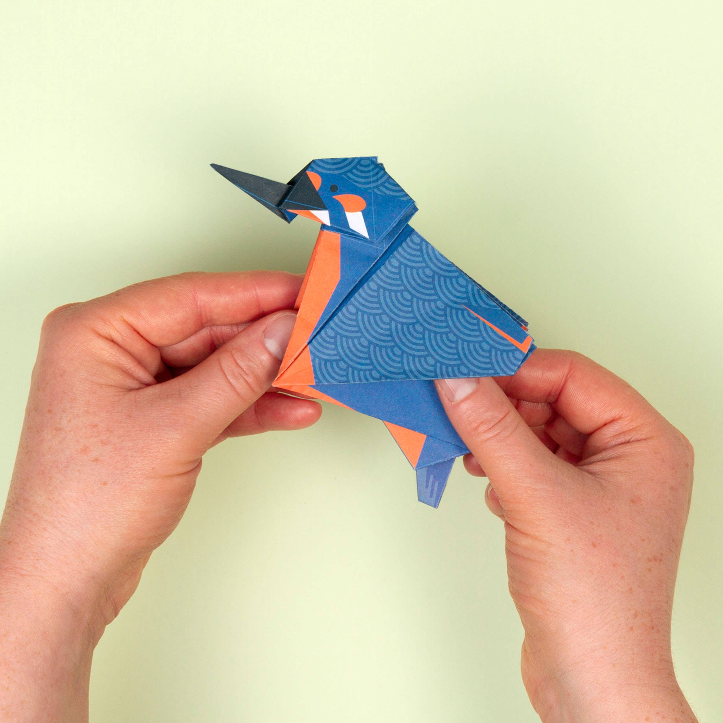 Wetland Wildlife Origami Craft Kit - Image 14
